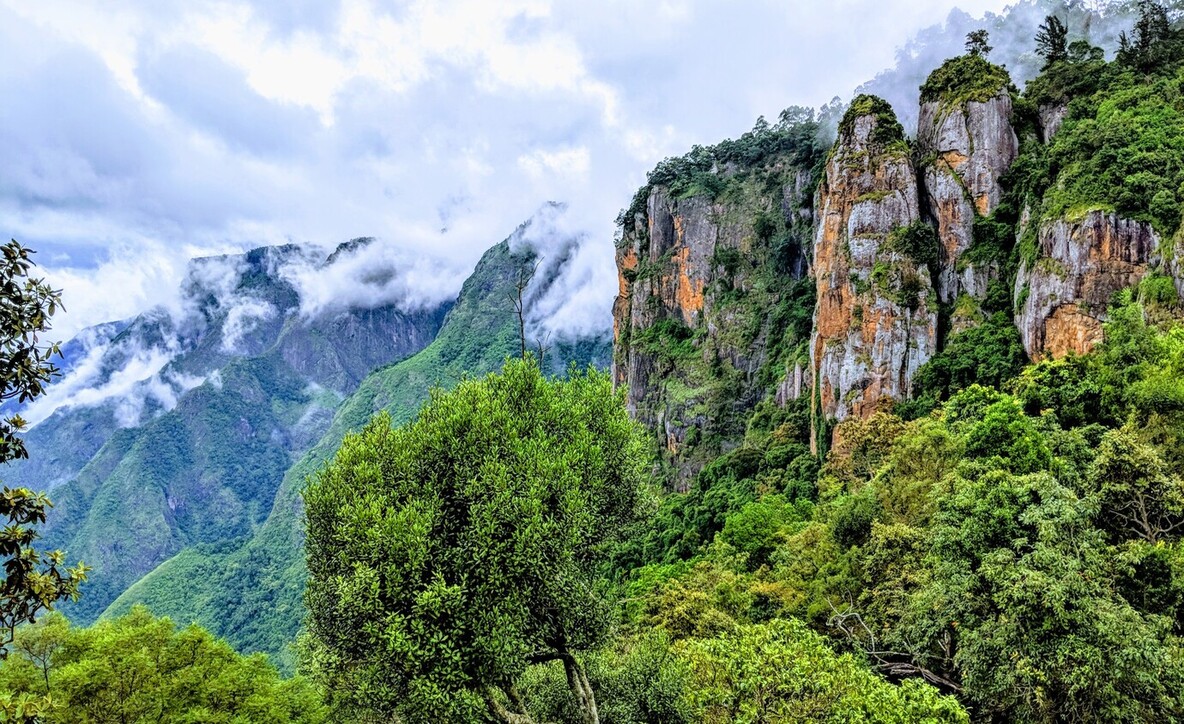 Tamil Nadu Kodaikanal, visit to Kodaikanal, places in kodaikanal for sightseeing, 